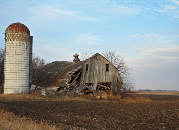 Barn Dismantling
